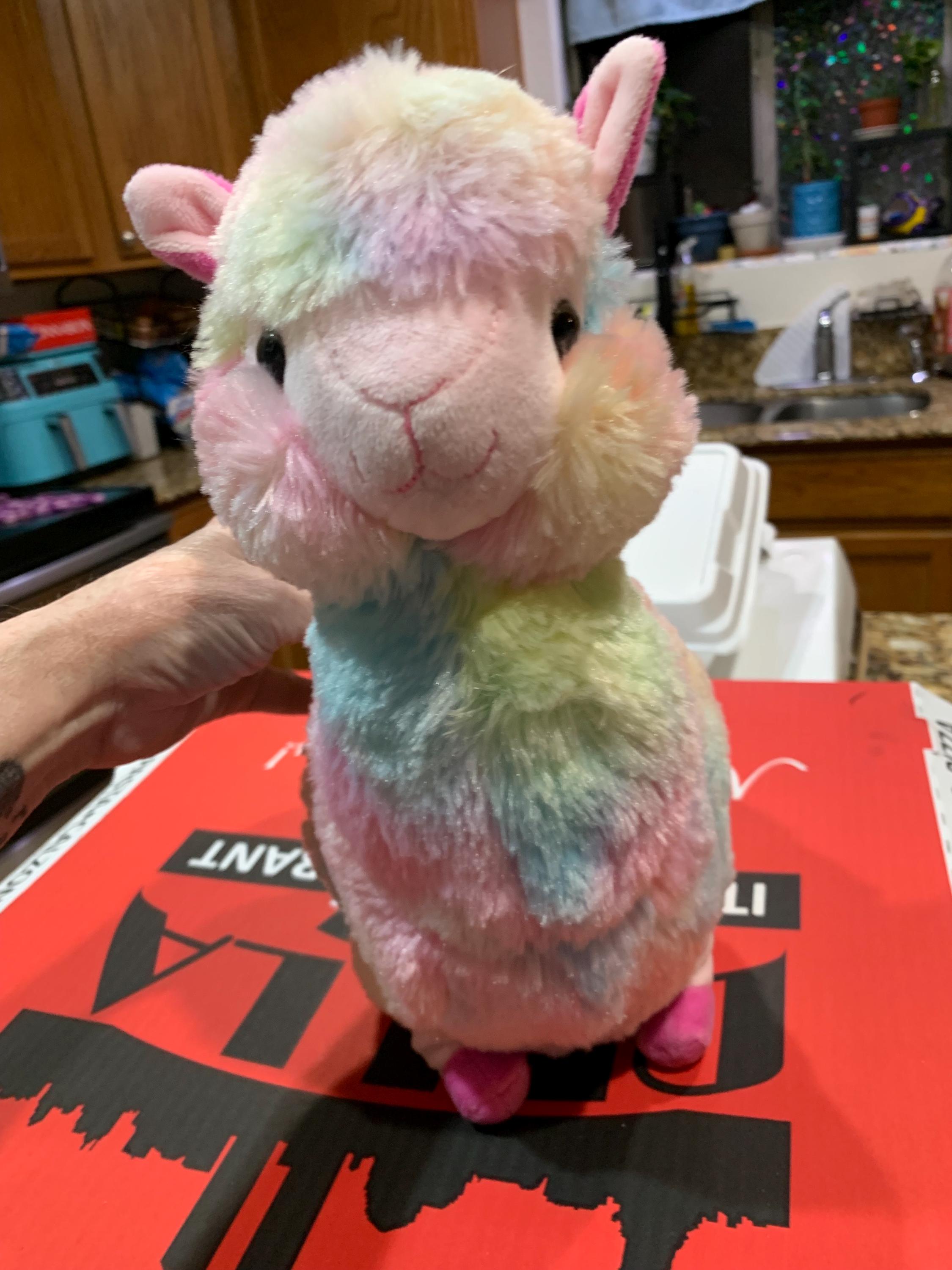 Pastel Tye Dye Llama Approximately Cute and Soft
