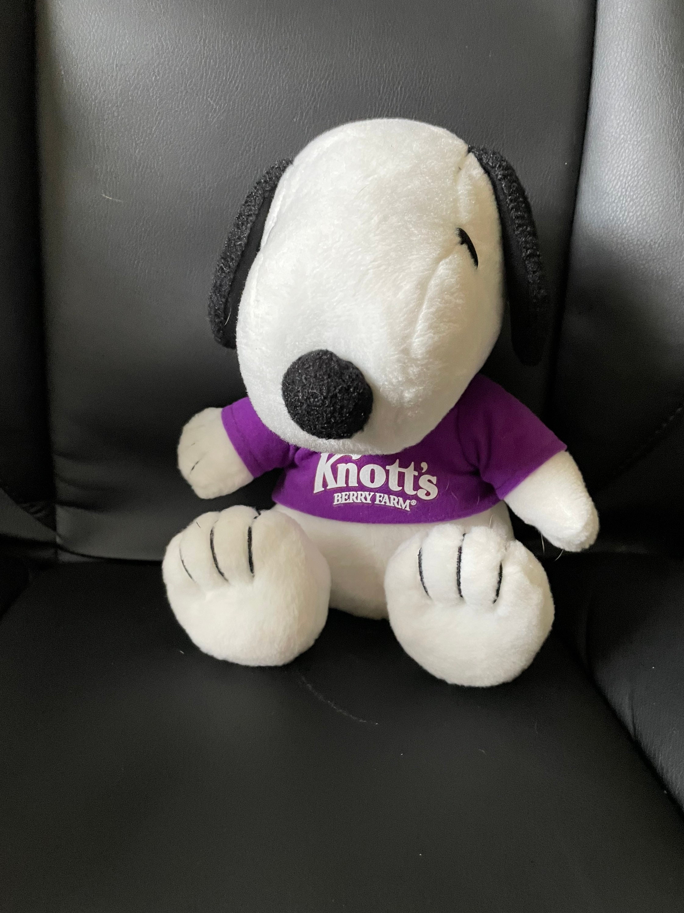 Knotts berry farm snoopy plush hotsell