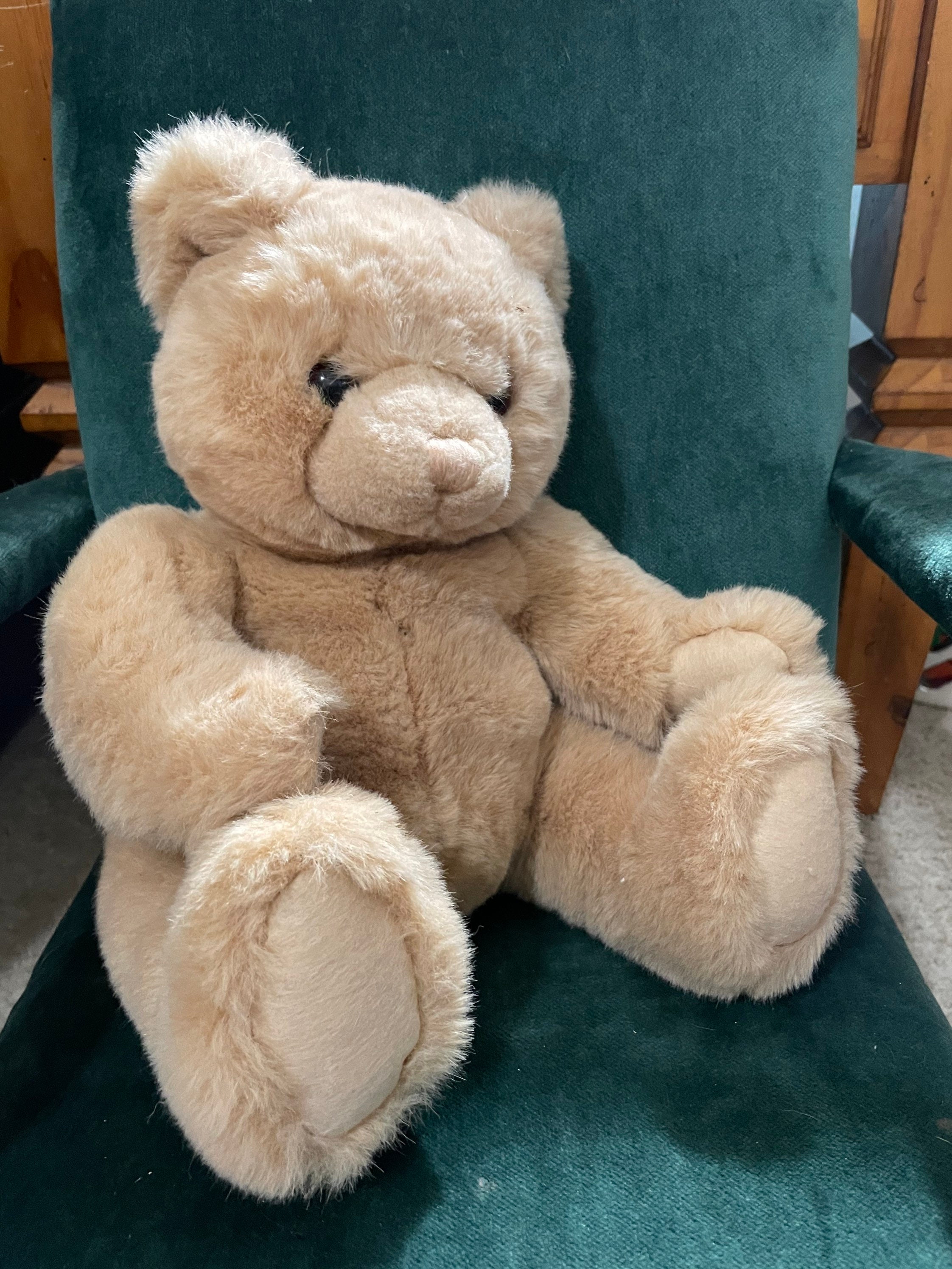 Jcpenney hotsell teddy bear