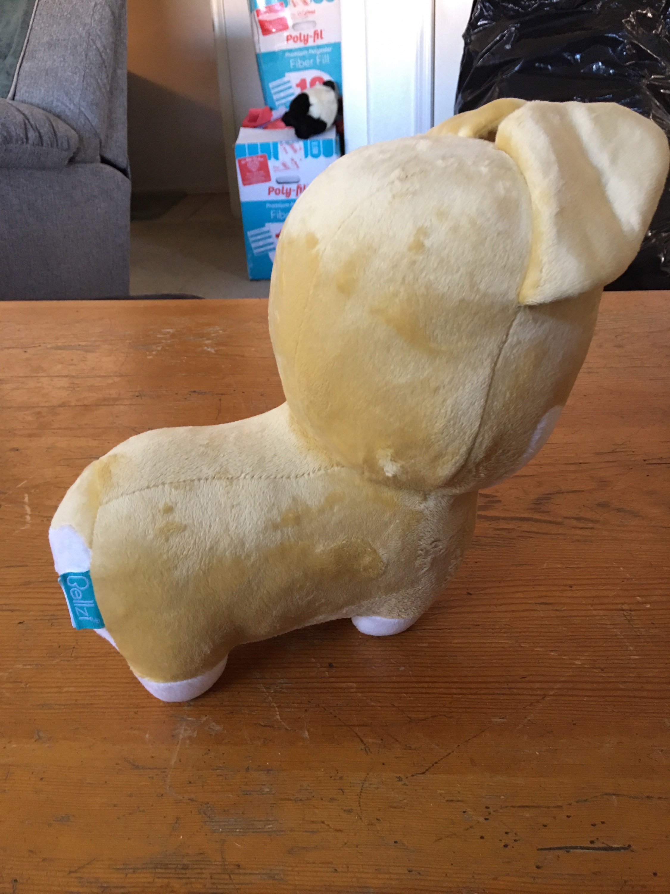 Bellzi corgi sales