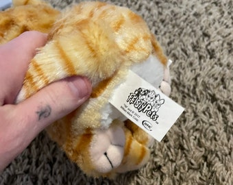 Feisty pets orange cat sale