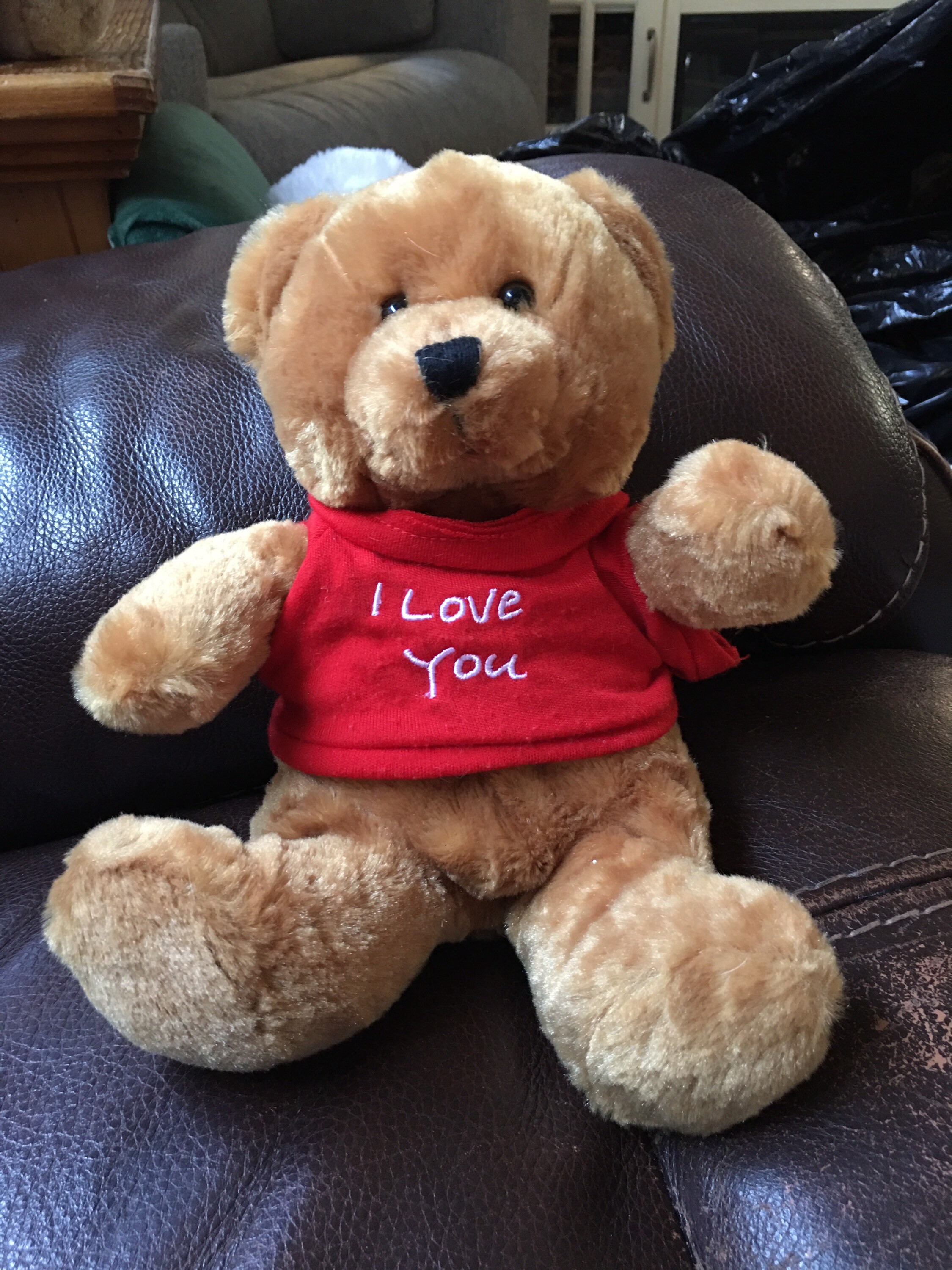 Brown Baby Bear I Love You Stuffed Animal Plush Toy Vintage Etsy Brown Baby Bear I Love You Stuffed Animal Plush Toy Vintage Etsy