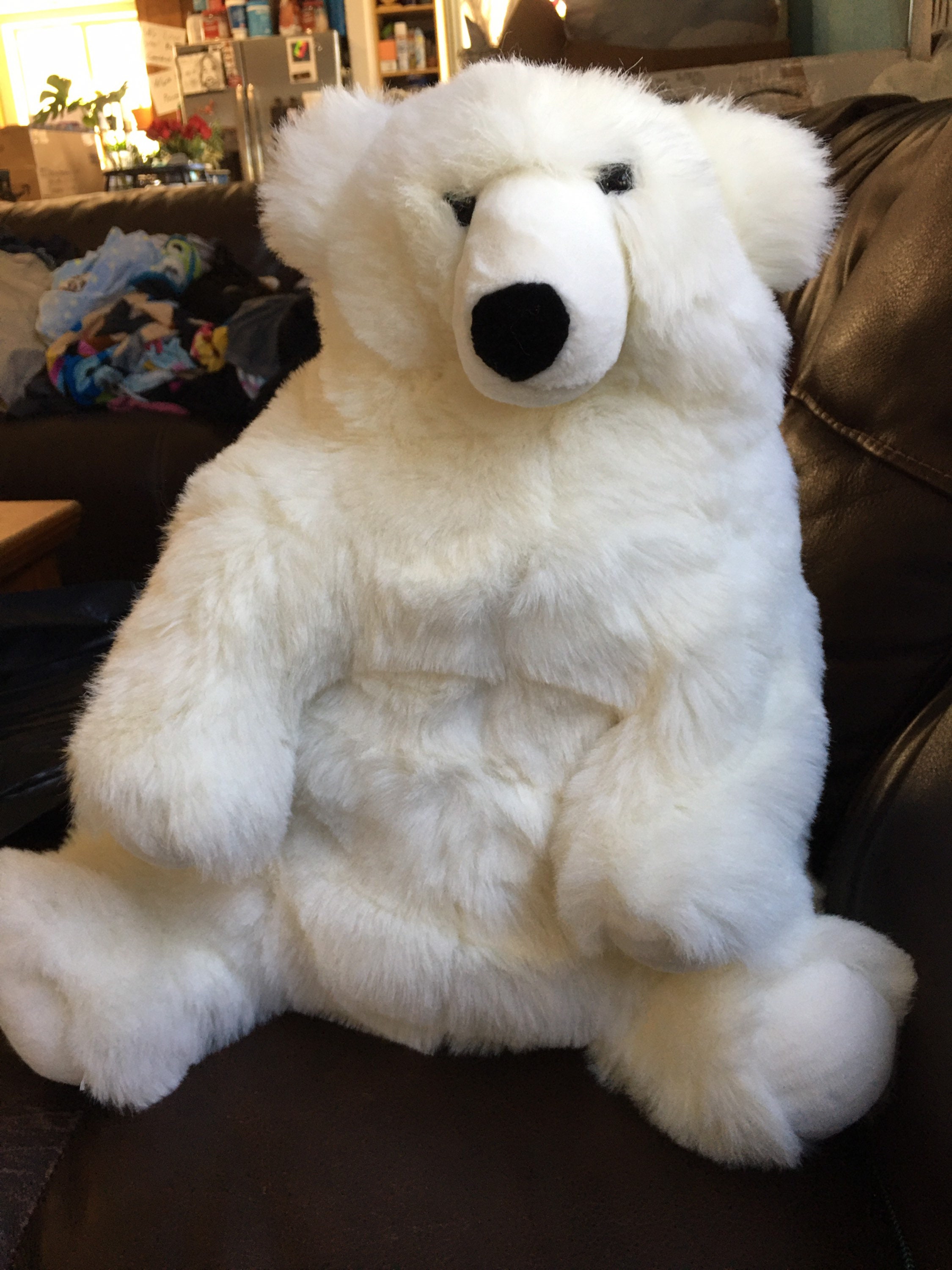 Westcliff collection teddy bear deals