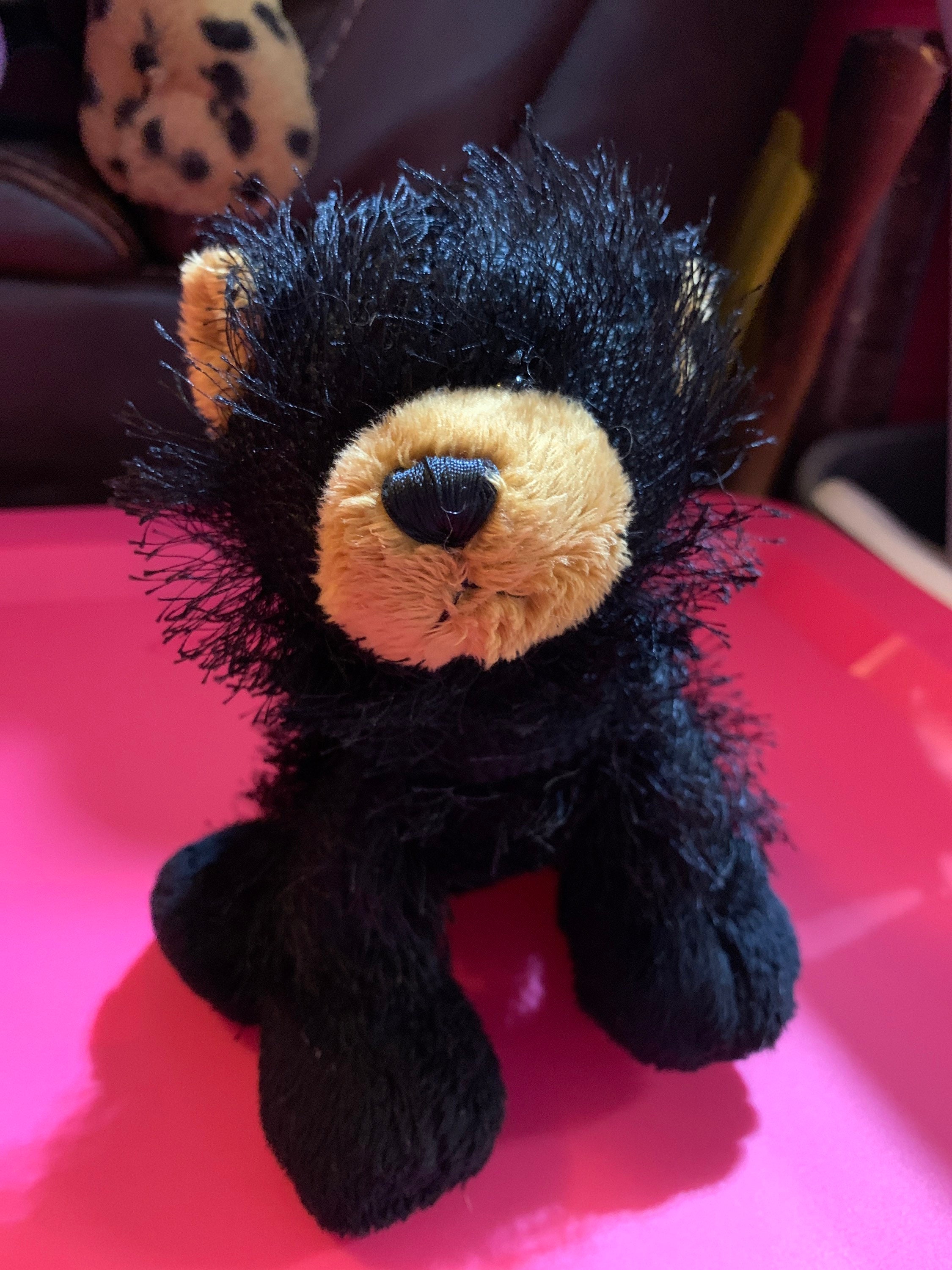 Webkinz best sale black bear