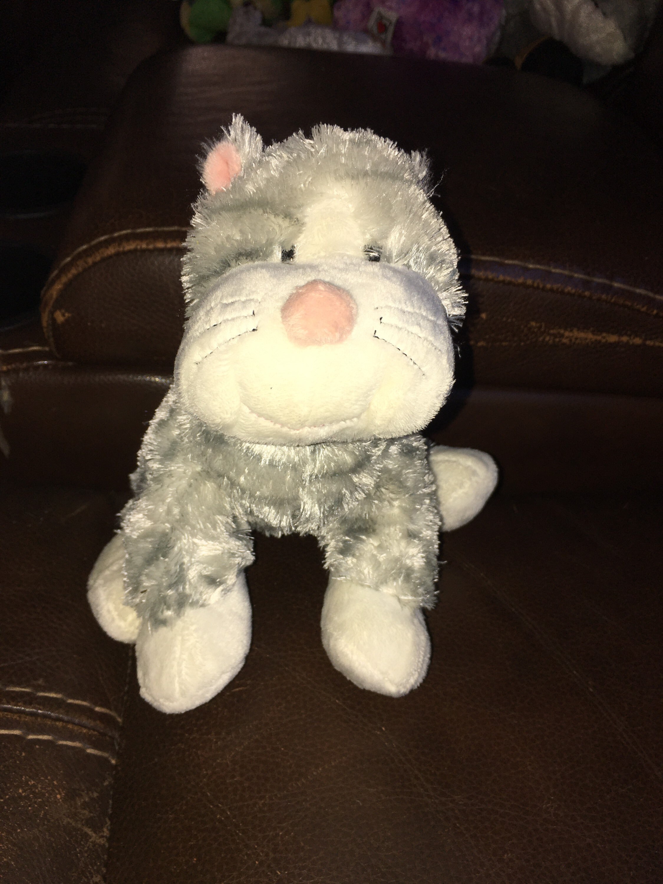 Cheeky top cat webkinz