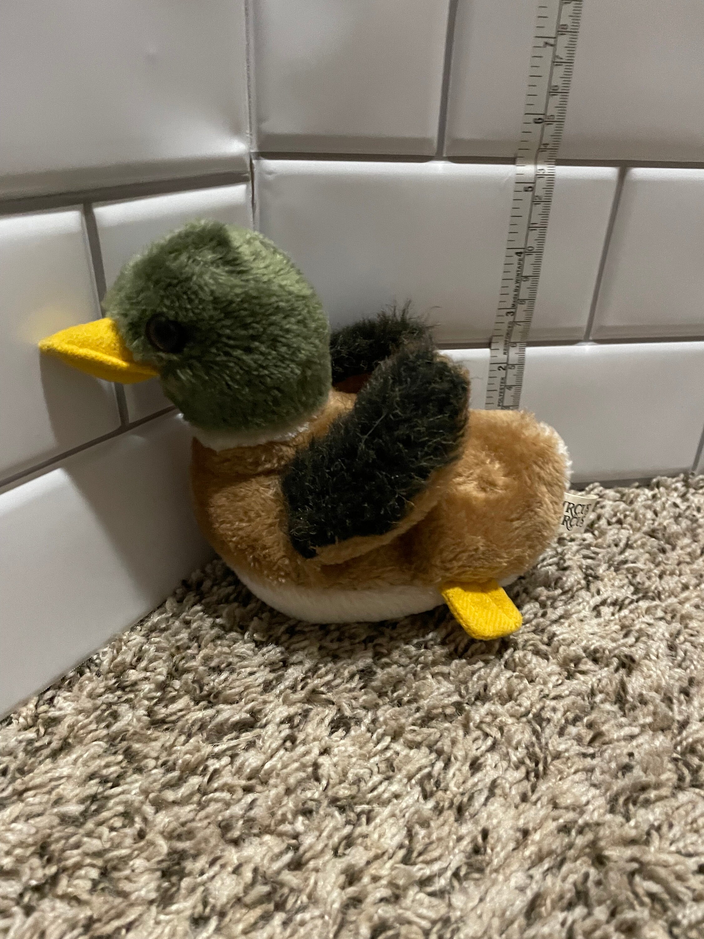 Webkinz on sale mallard duck