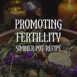 Promoting Fertility Simmer Pot Recipe Downloadable | Kitchen Witch | Spell Downloadable | Ritual Downloadable | Witchcraft | Intention