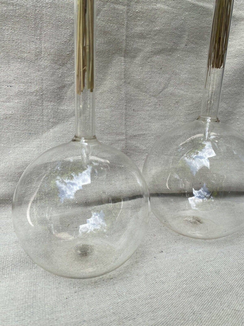 Vintage Long Neck Chemistry Glass Vases Finley Pair Etsy