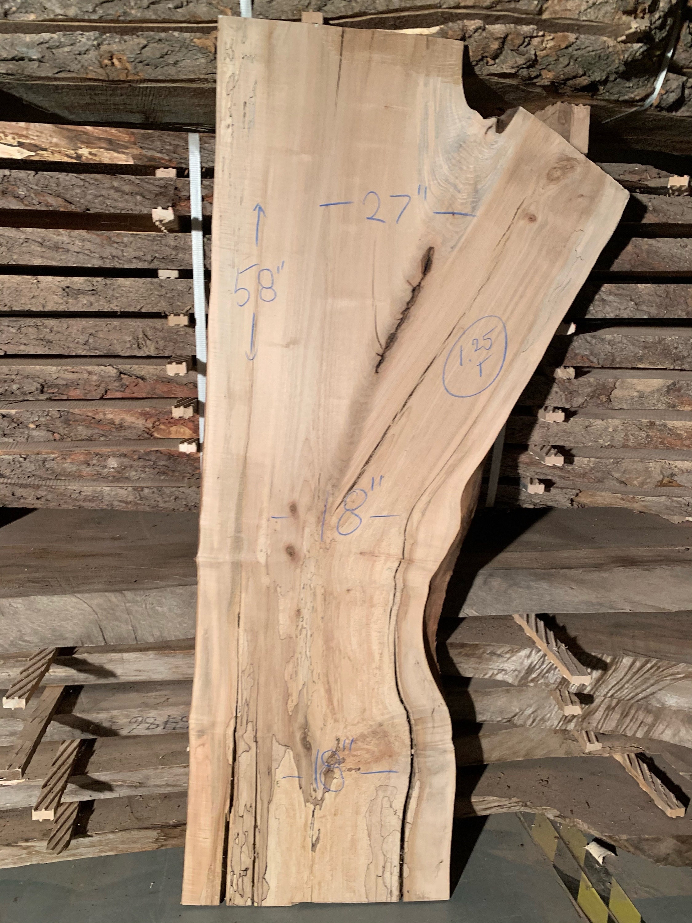 Spalted Maple Slab 27x58 Etsy