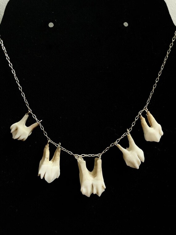 Deer Teeth Necklace Etsy