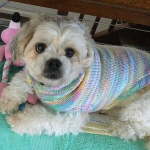 hand knitted dog jumpers