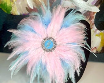 CLOSEOUT JJOA Inspired Pastel Pink and Blue Feather Brooch with Interlocking JJ Center - Jack and Jill of America