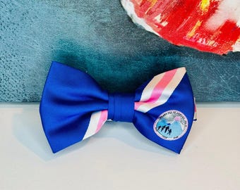 Jack and Jill of America logo branded royal/pink stripe pre-tied men’s bow tie