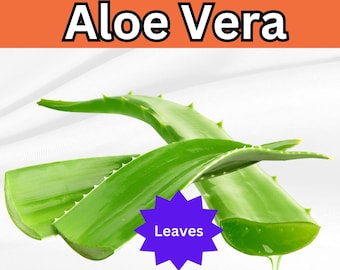 Könnte beinhalten: Nahaufnahme von grünen Aloe-Vera-Blättern mit einem violetten Stern-Aufkleber, auf dem "Leaves" steht.