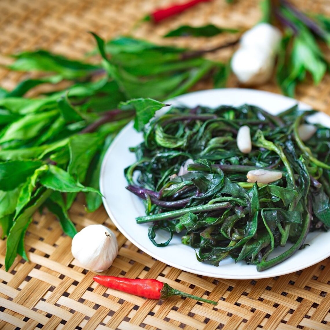 Longevity Spinach Rooted Plant 412 inch / Organic Spinach Etsy