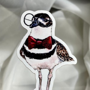 May include: A white bird with black and brown markings wearing a red bow tie and round glasses. The bird is standing on two legs and has the text "BIRD NERD" written below it.