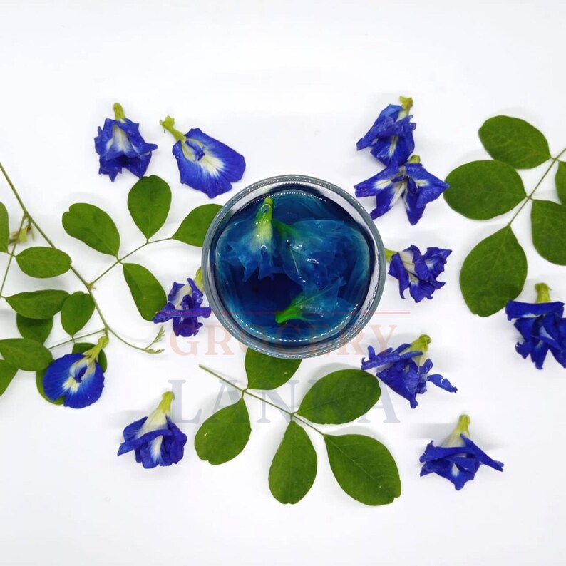 Butterfly Pea Flower Tea Color Changing Tea Blue Tea Etsy