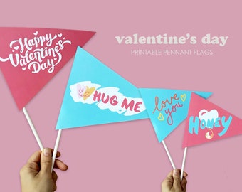 Valentine's Day Pennant Flags, Set of 12 designs, Valentine's Day Party Decor, Valentine's Day Printable