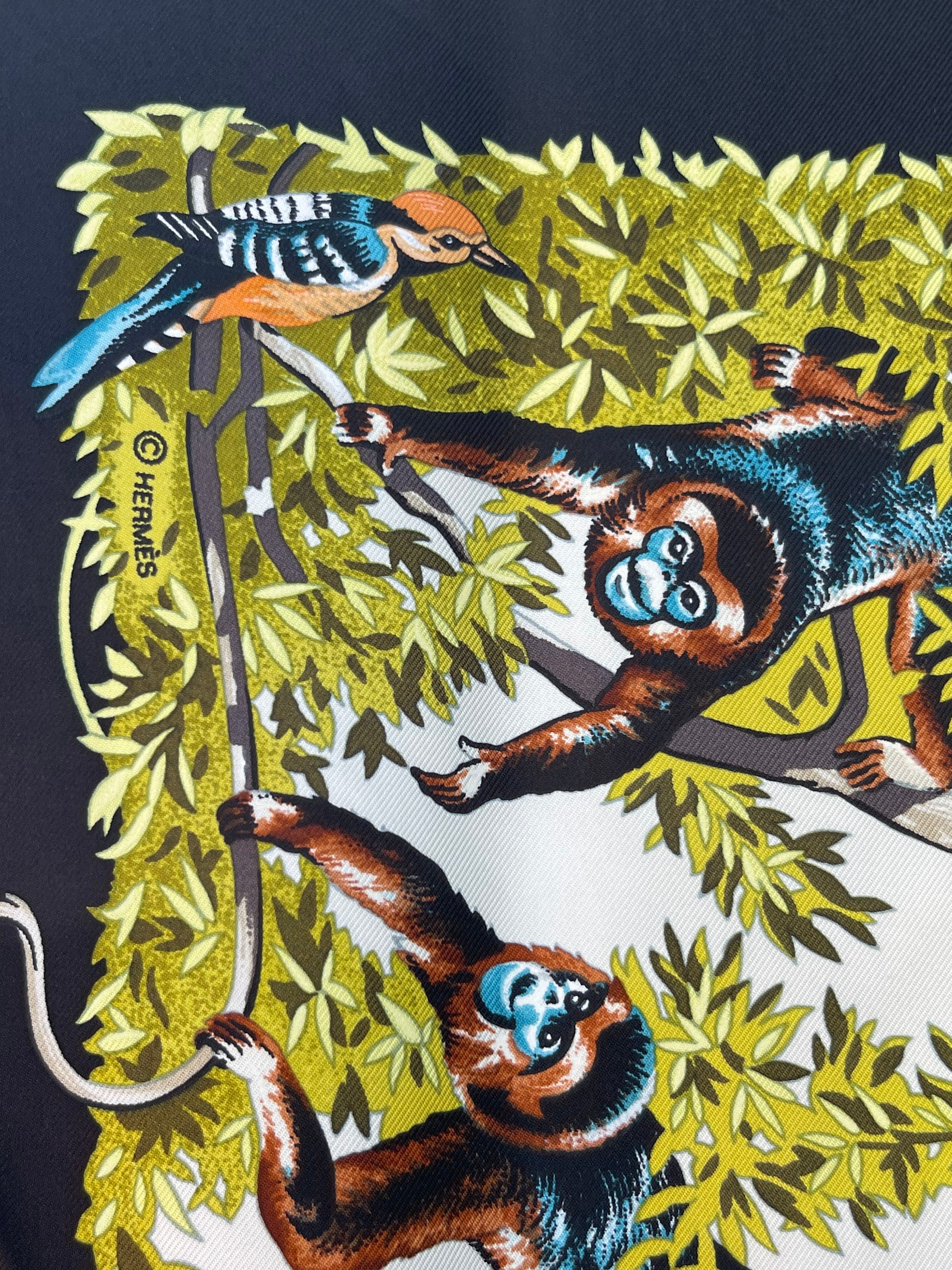 Hermes Silk Scarf Paris Robert Dallet 1995 Sichuan China Hermes Silk Scarf Paris Robert Dallet 1995 Sichuan China