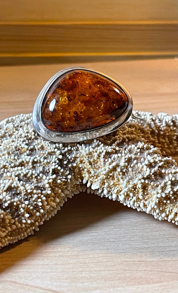 Brooch amber extravagant exceptional unique piece… - image 5