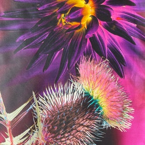 Fraas Scottish thistles purple silk scarf large German scarf couture exceptionally unusual nature Scotland flowers prickly