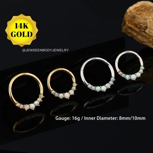 14K Gold Hinged Segment Ring,Opal Hinged Clicker,Huggie Hoop,Cartilage Earring,16g Conch ,Helix,Nose Hoop,8mm 10mm,Septum Piercing Jewelry