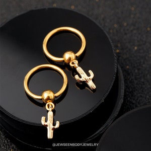 2PCS Thin Nose Ring Hoop,Gold Nose Piercing Jewelry,16G Cartilage Earring,Helix,Trguas,Conch,Daith Earring,Septum Piercing,Gift for her