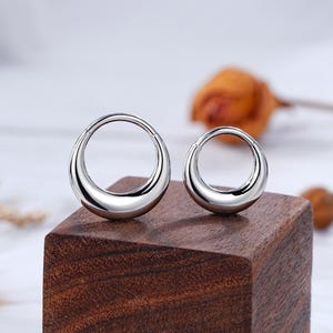Anillo para tabique nasal de 16 G y 14 G, pendiente para cartílago, pendiente para hélix, piercing Daith, pendiente de aro, aro con cierre de clic, aro de caracol, aro para nariz, joyería de caracol, plata