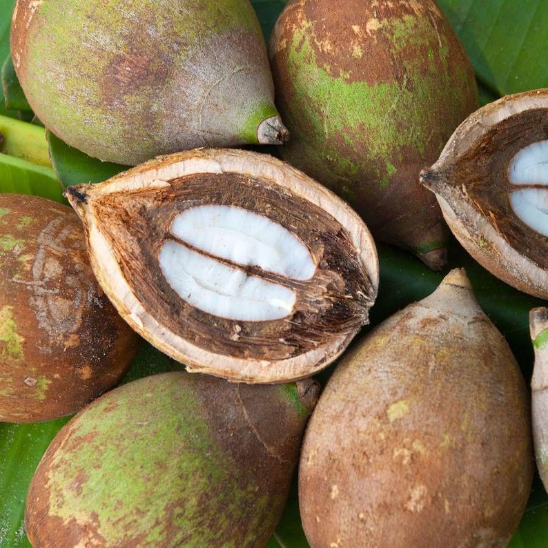 May include: Close-up of several whole and halved fruits. The fruits have a brown and green exterior with a textured surface. The interior of the halved fruit reveals a white, oval-shaped seed. The fruits are arranged on a green leaf.