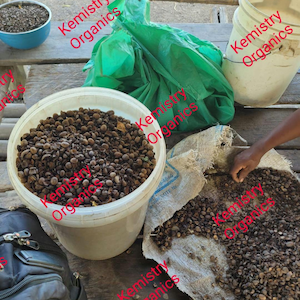 Pode incluir: Uma cole&ccedil;&atilde;o de produtos org&acirc;nicos, incluindo uma tigela azul, um saco verde e baldes brancos cheios de sementes marrons. Um saco de serapilheira est&aacute; aberto, revelando mais sementes. O texto "Kemistry Organics" &eacute; vis&iacute;vel.