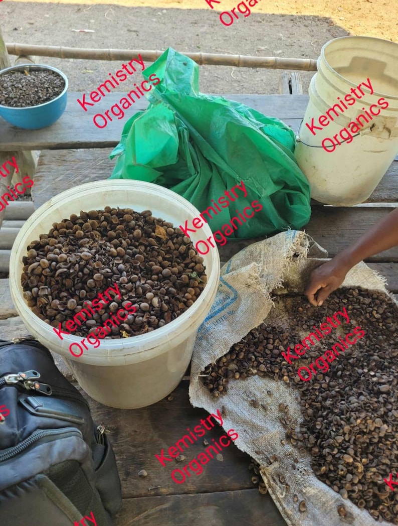 Pode incluir: Uma cole&ccedil;&atilde;o de produtos org&acirc;nicos, incluindo uma tigela azul, um saco verde e baldes brancos cheios de sementes marrons. Um saco de serapilheira est&aacute; aberto, revelando mais sementes. O texto "Kemistry Organics" &eacute; vis&iacute;vel.