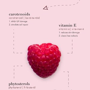 Puede incluir: Gr&aacute;fico educativo que presenta una frambuesa madura y sus propiedades. La imagen incluye texto que detalla los beneficios del "aceite de semilla de frambuesa", "carotenoides", "vitamina E", "fitoesteroles" y "&aacute;cido el&aacute;gico" para la piel.