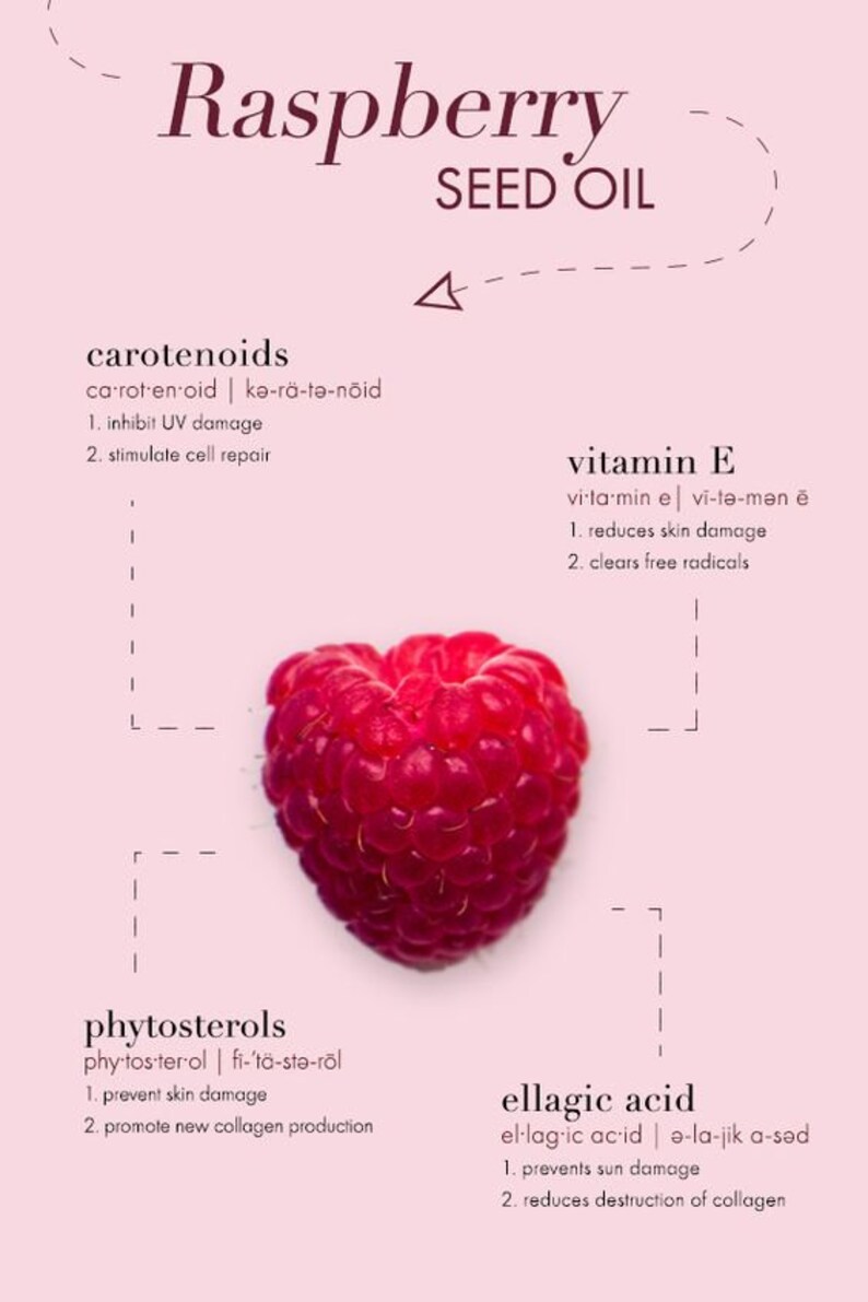 Puede incluir: Gr&aacute;fico educativo que presenta una frambuesa madura y sus propiedades. La imagen incluye texto que detalla los beneficios del "aceite de semilla de frambuesa", "carotenoides", "vitamina E", "fitoesteroles" y "&aacute;cido el&aacute;gico" para la piel.