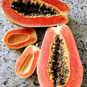 May include: A close-up of several pieces of ripe papaya fruit. The papaya flesh is a vibrant orange-red color, with a multitude of small, dark seeds visible in the center. The fruit is cut open, revealing its texture and color.