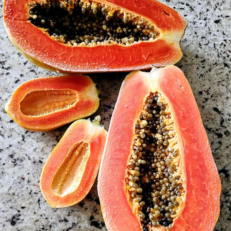 May include: A close-up of several pieces of ripe papaya fruit. The papaya flesh is a vibrant orange-red color, with a multitude of small, dark seeds visible in the center. The fruit is cut open, revealing its texture and color.