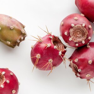 May include: Close-up of several prickly pear cactus fruits. The fruits vary in color from deep red to green and have small, brown spines. The fruits are on a white background.