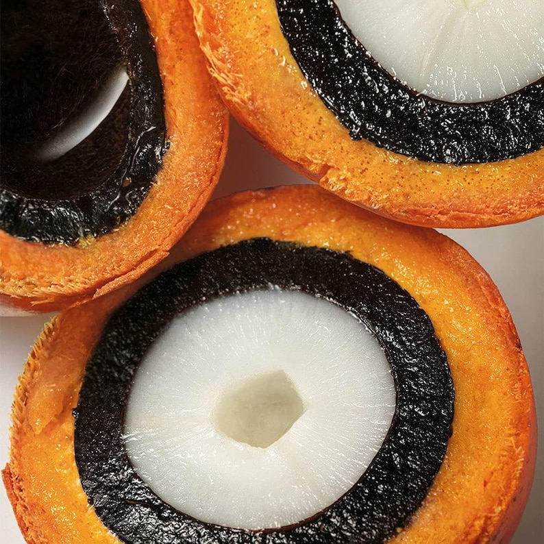 Pode incluir: Close-up de tr&ecirc;s peda&ccedil;os de fruta, cada um cortado para revelar uma se&ccedil;&atilde;o transversal. A fruta tem um centro branco, um anel preto e uma camada externa laranja. As pe&ccedil;as s&atilde;o dispostas sobre um fundo branco.