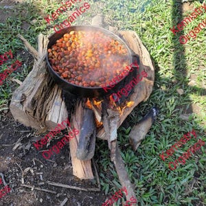Pode incluir: Uma panela preta cheia de ingredientes laranja-castanhos &eacute; aquecida sobre uma fogueira. A panela est&aacute; sobre uma base de madeira, com chamas vis&iacute;veis por baixo. A cena &eacute; ao ar livre, com relva verde no fundo.