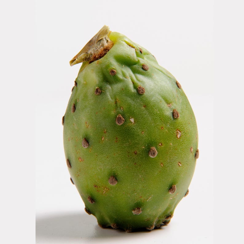 May include: A green prickly pear fruit with brown spots and a stem. The fruit is oval-shaped and has a smooth, textured surface. The background is white.