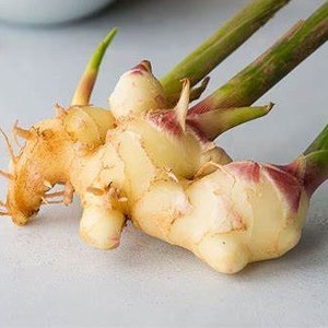 ginger root