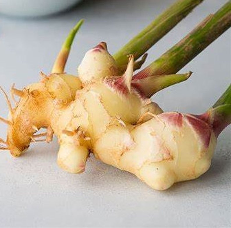 ginger root