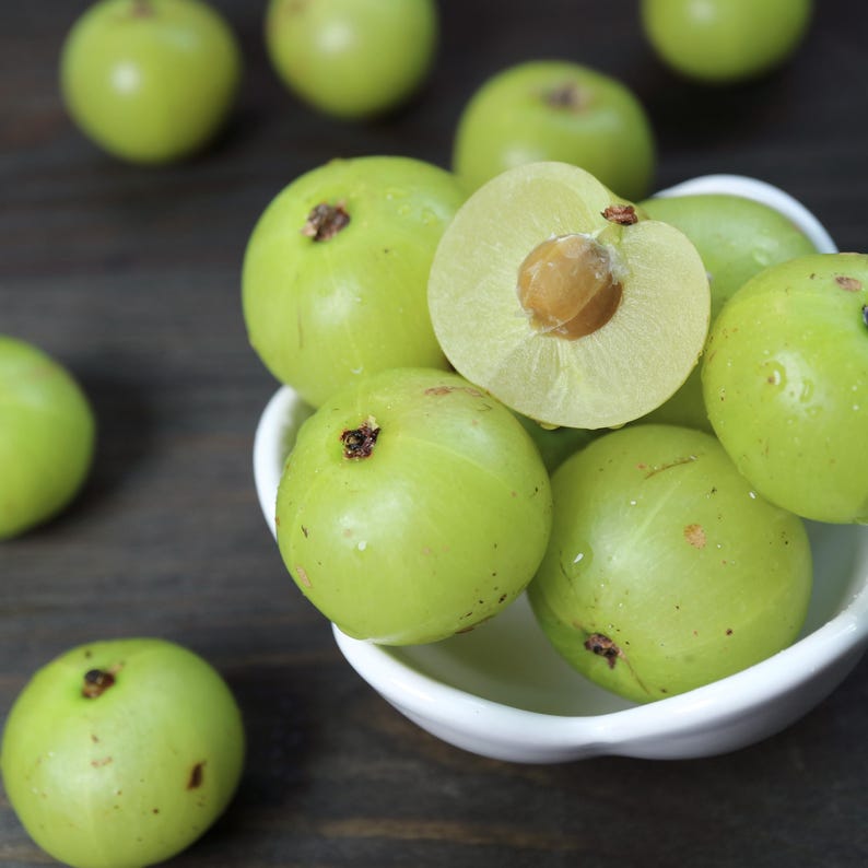 Bálsamo/grasa Indian Growth Neem & Curry con 67 ingredientes, jengibre azul, cola de caballo y shatavari. Fortalece, hidrata y ayuda a combatir la sequedad y la descamación del cuero cabelludo. imagen 12