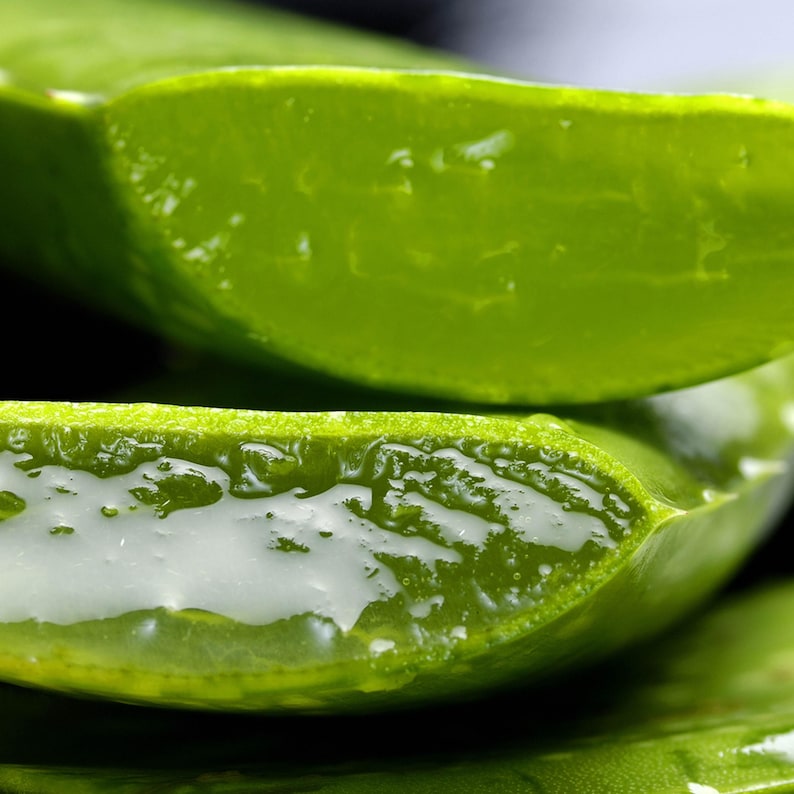 Bálsamo/grasa Indian Growth Neem & Curry con 67 ingredientes, jengibre azul, cola de caballo y shatavari. Fortalece, hidrata y ayuda a combatir la sequedad y la descamación del cuero cabelludo. imagen 15
