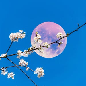 MOONFLOWERS Room Freshening Mist/Spray DEODORIZING
