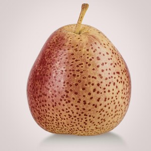May include: A ripe pear with a speckled, reddish-brown skin and a yellow stem. The pear has a rounded base and tapers towards the stem. The skin is covered in small, dark brown spots, and the overall color is a mix of yellow and red.