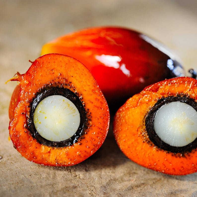 Pode incluir: Close-up de frutos de palma, mostrando a vibrante casca laranja e uma cavidade escura da semente. A fruta &eacute; cortada, revelando uma semente branca em forma oval. O fundo apresenta um fruto de palma inteiro, vermelho e brilhante.
