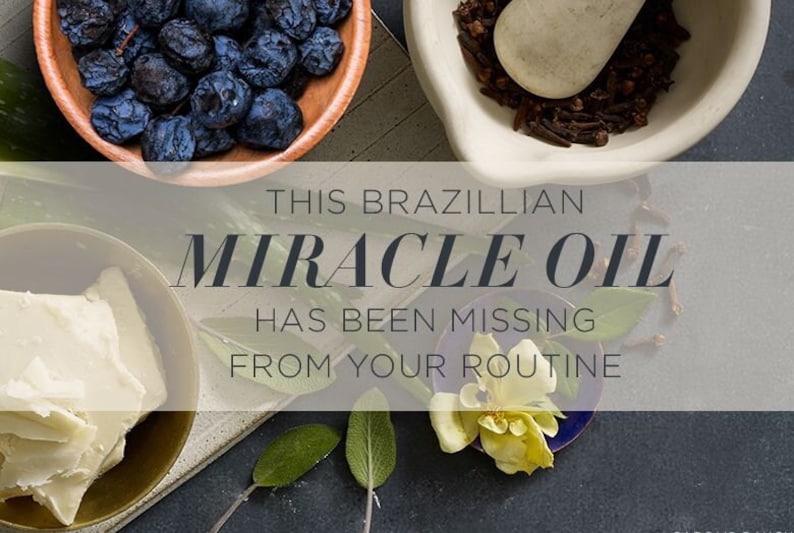 May include: A close-up of ingredients for a Brazilian miracle oil. The ingredients include a bowl of dark blue berries, a mortar and pestle with cloves, a small dish of white butter, and a yellow flower on a blue dish.