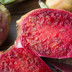 prickly pear seed oil kemistry organiccs