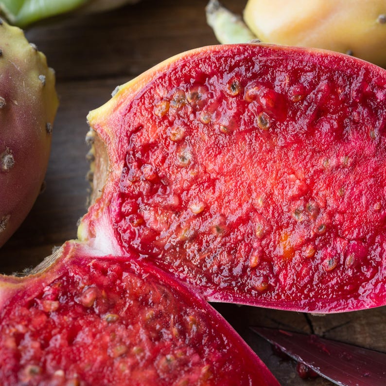 prickly pear seed oil kemistry organiccs