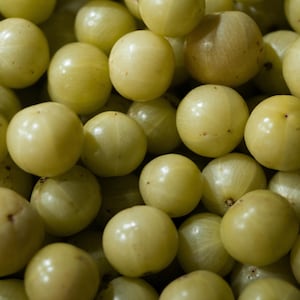 Bálsamo/grasa Indian Growth Neem & Curry con 67 ingredientes, jengibre azul, cola de caballo y shatavari. Fortalece, hidrata y ayuda a combatir la sequedad y la descamación del cuero cabelludo. imagen 5